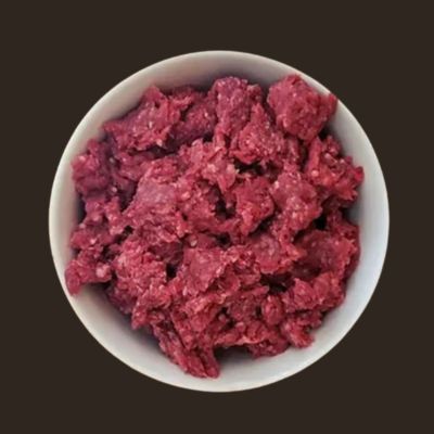 Ground Bison
